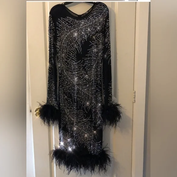 Fashion Nova Plus Size Feather Trim Beaded Sheer Mesh Dress - Picture 11 of 15